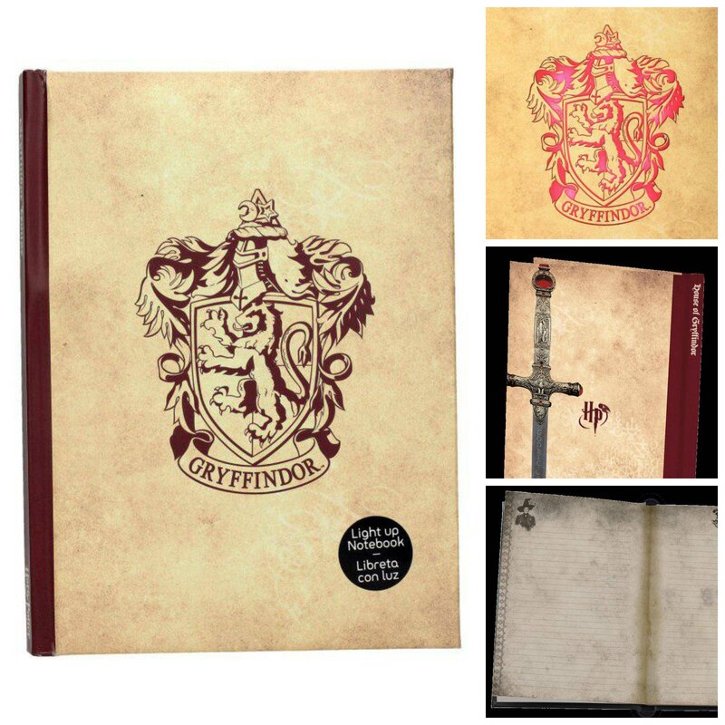 Cuadro Harry Potter Diario - Undesirable N° 1