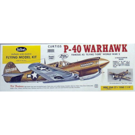 Avión RC P-40 WARHAWK