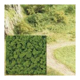  Verde musgo arbusto mayo - uv x 5