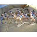 Hadendowa Camelry. 12 camels plus figures per box