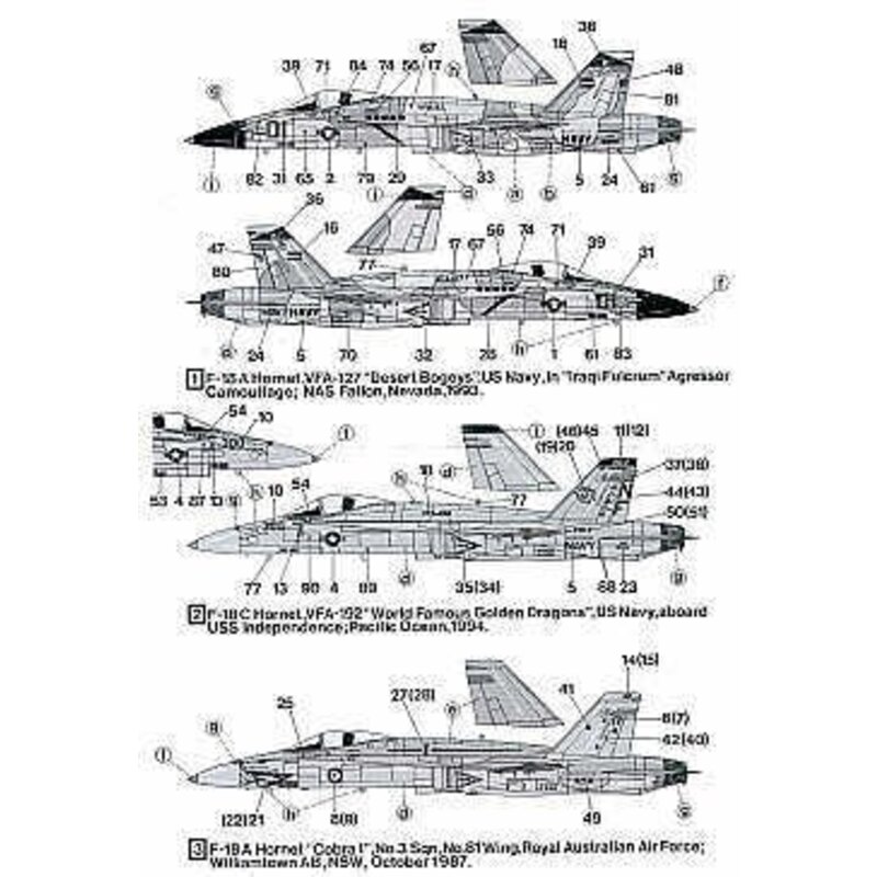 McDonnell Douglas F/A-18A Hornet McDonnell Douglas F/A-18C Hornet (3) USN 162415/Red 01 VFA-127 Sand Aggressor scheme NAS Fallon