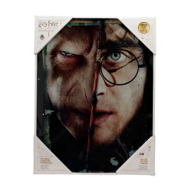 Harry Potter poster Harry & Voldemort glass 30 x 40 cm