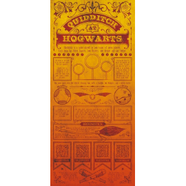  Litografía de Harry Potter Quidditch 42 x 19 cm
