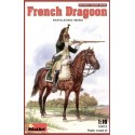 French Dragoon Napoleonic Wars