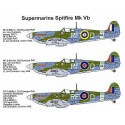 Supermarine Spitfire Mk.Vb (5) RM144 RF-D 303 Polish Squadron 3 versions W3902 WX-T 302 Polish Squadron EE781 ZX-A 145 Squadron 