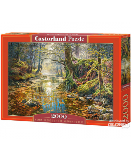 Puzzle Castorland Interlude, puzzle 3000 piezas con 1001hobbies  (Ref.-300433-2)