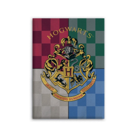  HARRY POTTER - Hogwarts - Manta Polar 100% Microfibra 70x140cm
