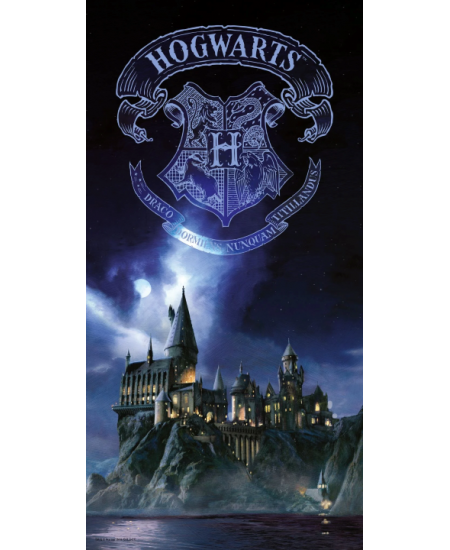 HARRY POTTER - GLASS POSTER - Hogwarts - 61X31x3cm : : Glass  frame SD Toys Harry Potter