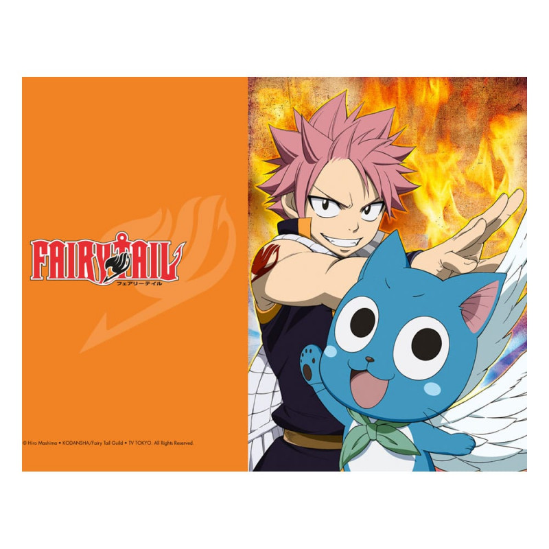 Sakami Merchandise Fairy Tail set 3 clear pockets 02