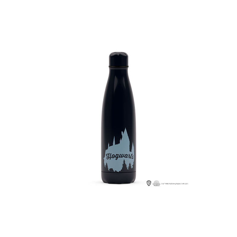 Botella Harry Potter Acero Inoxidable Hogwarts Express 500 ml