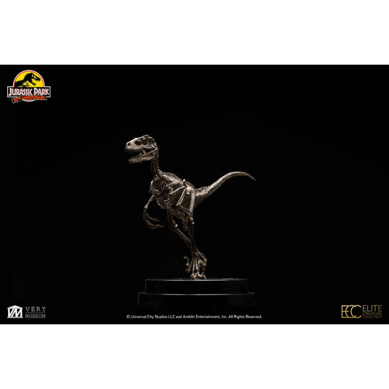 Jurassic Park Statue 18 Velociraptor Skeleton Bro 