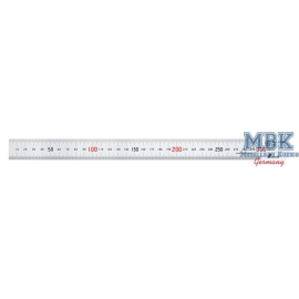  Stainless Scale 300mm G22D (Lineal)