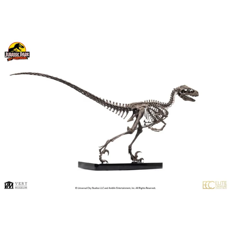 Jurassic Park Figure 14 Raptor Skeleton Bronze 46 