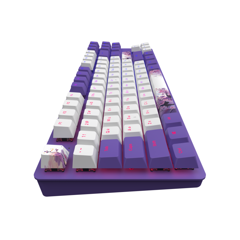 Dark Project One - 87 Violet Horizons RGB ANSI Keyboard QWERTY