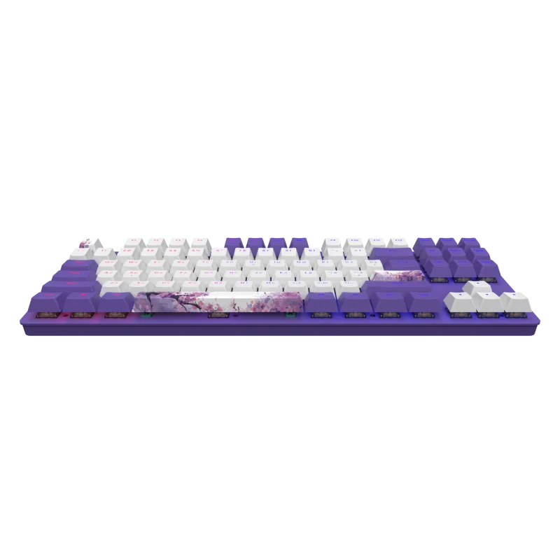 Dark Project One - 87 Violet Horizons RGB ANSI Keyboard QWERTY