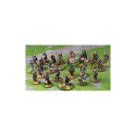 Saga - Viking Age - Norse Gael Warband Starter