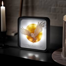 Harry Potter: Hedwig Perspex Lamp