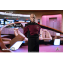 Star Trek: The Next Generation 1/6 figure Captain Jean-Luc Picard 30 cm