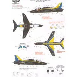 BAe Hawk T.1A XX285 100 Squadron 90th Anniversary 2007 with Yellow and Blue trim.