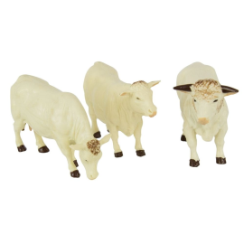 3 vacas charolais