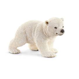 Cachorro de oso polar caminando