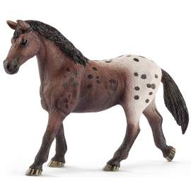 yegua appaloosa