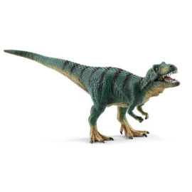  Tiranosaurio Rex joven