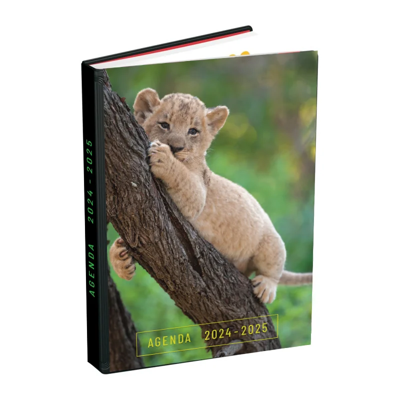  Agenda 2024-2025 320 Pages Lion 12X18cm