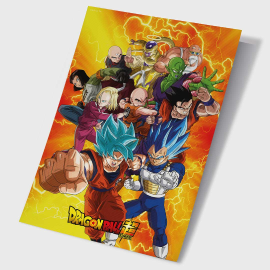  DBZ 3D Poster - Dragon Ball Universe Survival Heroes