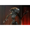 Alien: Romulus Ultimate Scorched Xenomorph figure 18 cm