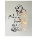  Hedwig Rigid Poster - Harry Potter