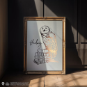 MNS Hedwig Rigid Poster - Harry Potter