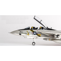 Avión en miniatura F-14A Tomcat USNAVY VF-84 Jolly Rogers AJ211 1978