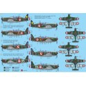 Morane-Saulnier MS.406 France 1940&nbsp;&nbsp; New 2/2012 !!! 4 decal variants for France