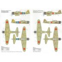 Mitsubishi A6M2 Zero (4) t-101 Pilot Tetsuzo Iwamoto Oppama Air Base 1943; EII-102 Carrier Zuikaku; BII-124 Carrier Hiryu ; BI