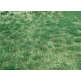 Marecage green carpet 45 x 17 cm