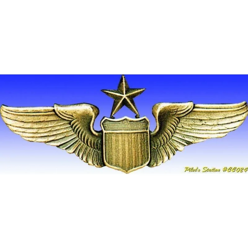 USAF Senior Pilot Wings