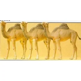 Camellos