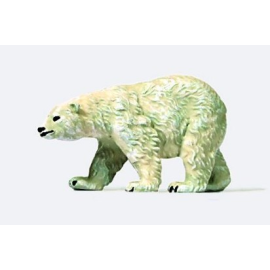 Oso polar