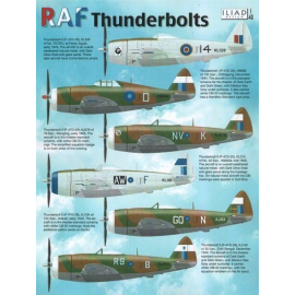 Republic P-47D Thunderbolt Bubble and Rzorbacks