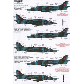  Calcomanía BAe Harrier GR311
