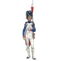 Imperial Guard French Grenadier Napoleonic War