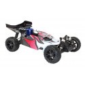 FLASH BX GP RTR BUGGY