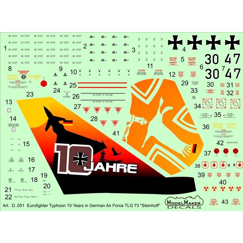 Eurofighter Typhoon 10 años en la Fuerza Aérea alemana TLG 73 Steinhoff