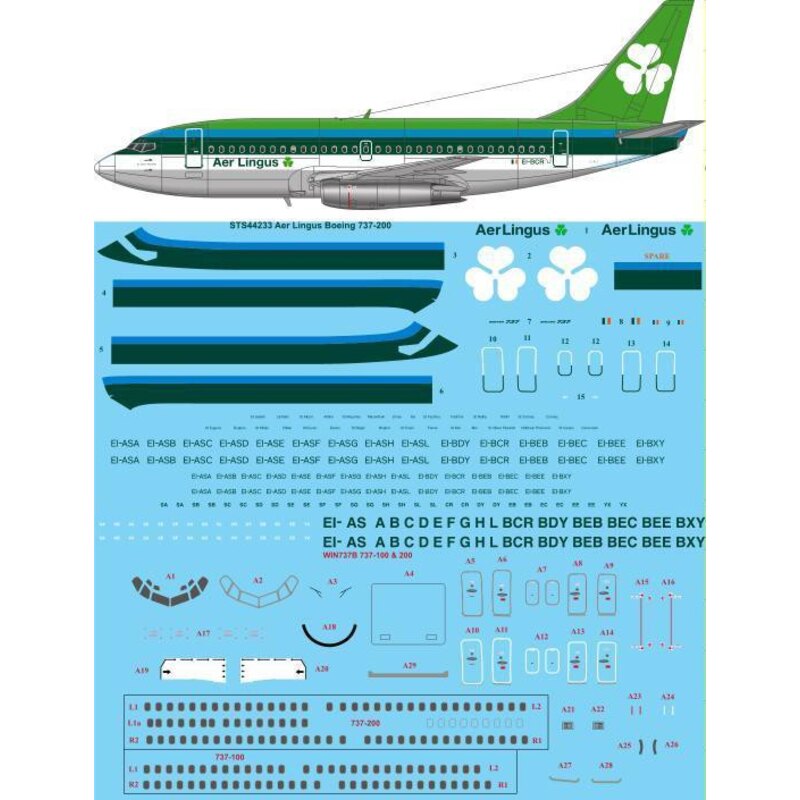 Aer Lingus 1970 librea Boeing 737-200