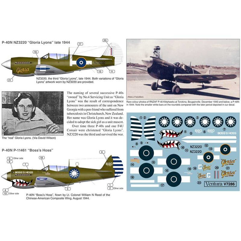 Curtiss P-40 ns, RNZAF Gloria Lyons y voluntario americano Grupo, tres opciones-NZ3220 Gloria Lyons, a finales de 1944. Ambas va