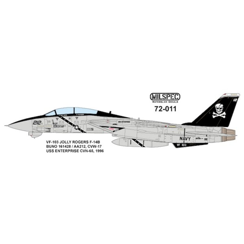 Grumman F-14A Tomcat VF-103 JOLLY ROGERS 1981 USS Nimitz