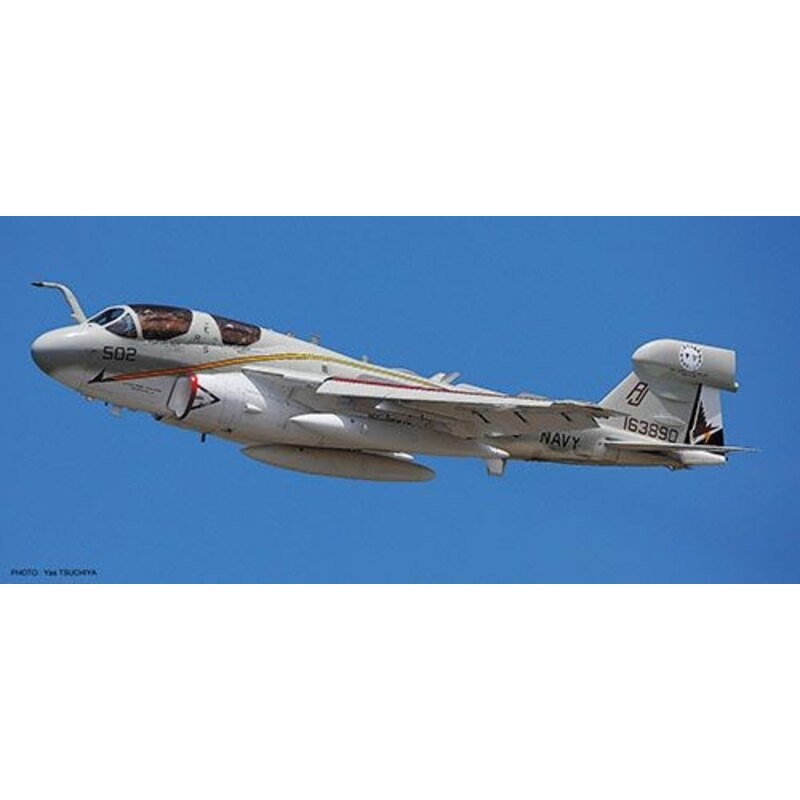 Grumman EA-6B Prowler USNAVY despedida